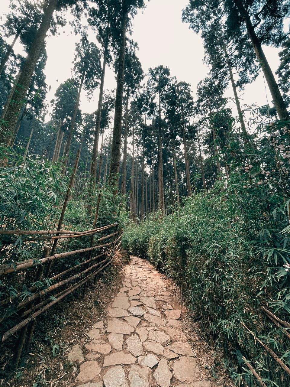 Surrounding village view